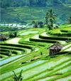 Pariwisata indonesia2